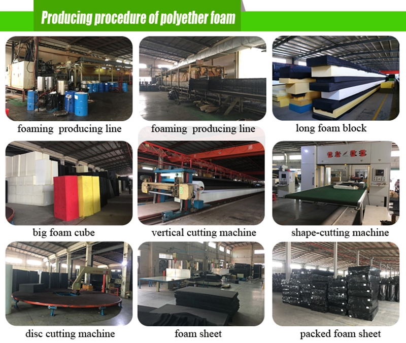 اسفنجة حمام الحيوانات